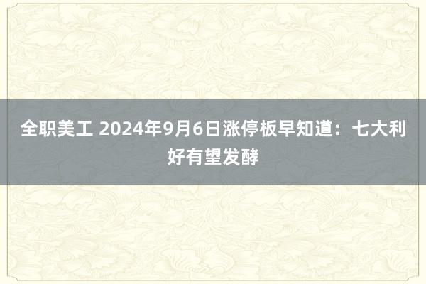 全职美工 2024年9月6日涨停板早知道：七大利好有望发酵